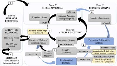 Mental Resilience and Coping With Stress: A Comprehensive, Multi-level Model of Cognitive Processing, Decision Making, and Behavior
